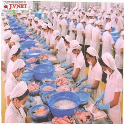 TUYỂN GẤP 45 NỮ CHẾ BIẾN MÓN ĂN TỪ THỊT GÀ
