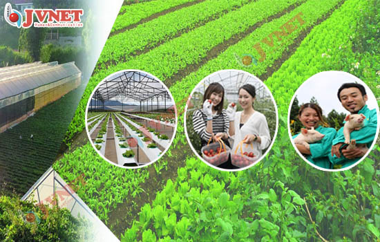 đơn hàng nông nghiệp Nhật Bản