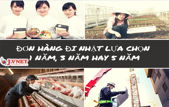 Nên đi Nhật 1 năm hay 3 năm hay 5 năm?