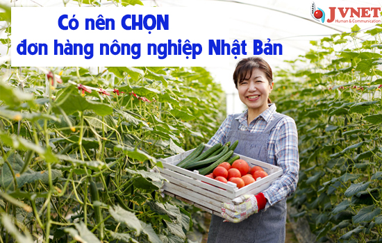 Có nên CHỌN đơn hàng nông nghiệp Nhật Bản-1