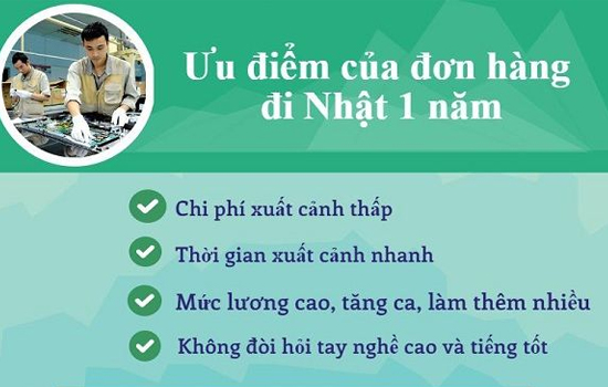 Đơn hàng đi Nhật 1 năm-2
