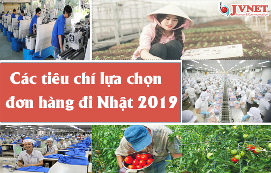 Đơn hàng đi Nhật 2019-1