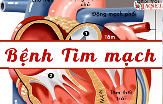 Những bệnh gì không được đi XKLĐ Nhật Bản-4