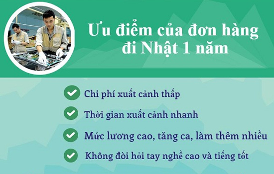 Ưu điểm vượt trội của đơn hàng 1 năm