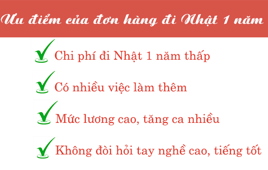 Ưu điểm của đơn hàng 1 năm chi phí thấp
