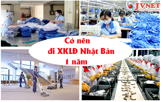 Có nên đi xuất khẩu lao động Nhật Bản 1 năm -1