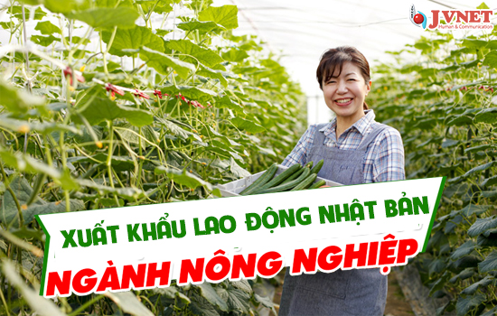 Đơn hàng nông nghiệp tại Nhật Bản-1